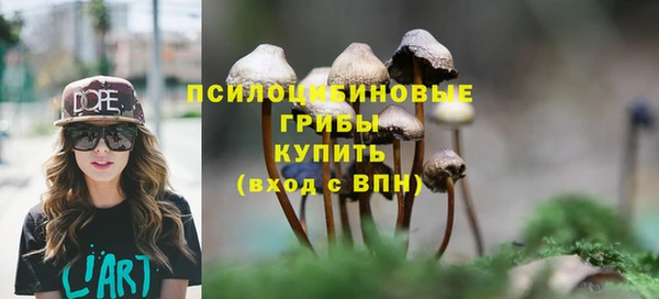 тгк Ладушкин