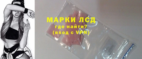 ECSTASY Лагань