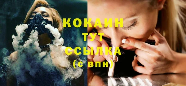 тгк Ладушкин